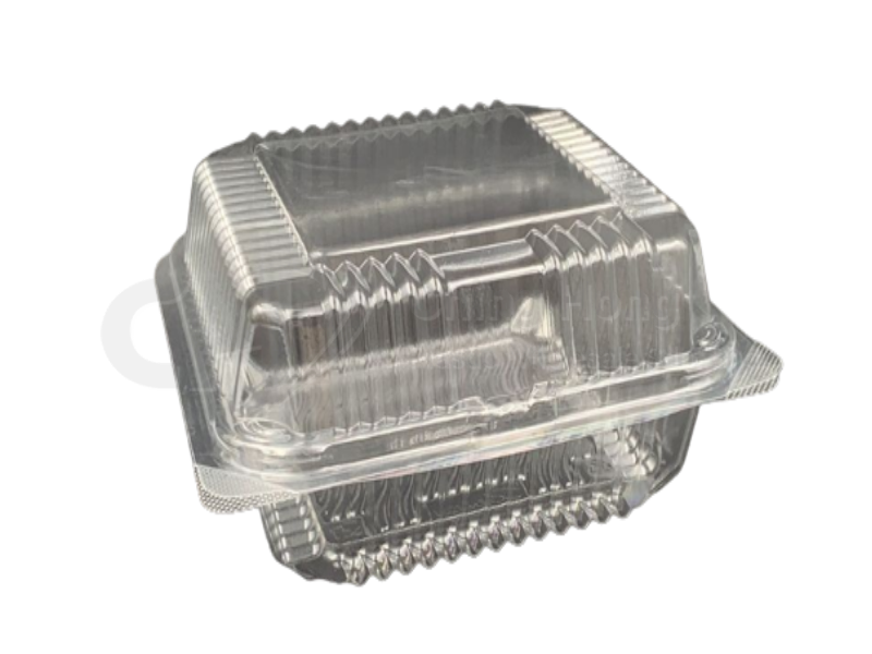 Plastic Burger Container